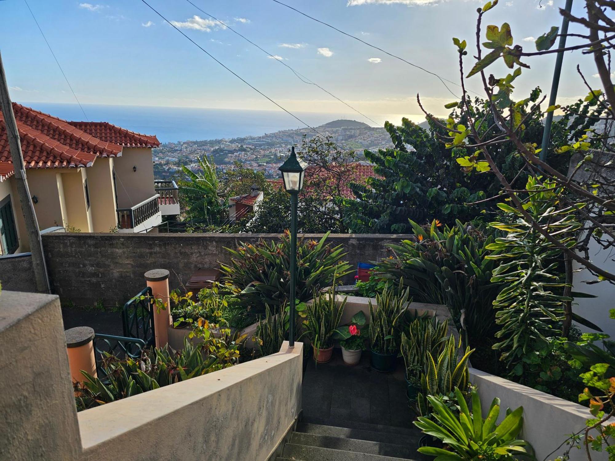 Casa De Feria Do Livramento Villa Funchal  Ngoại thất bức ảnh